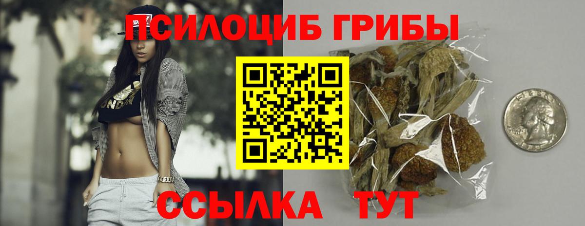 Псилоцибиновые грибы мухоморы Альметьевск