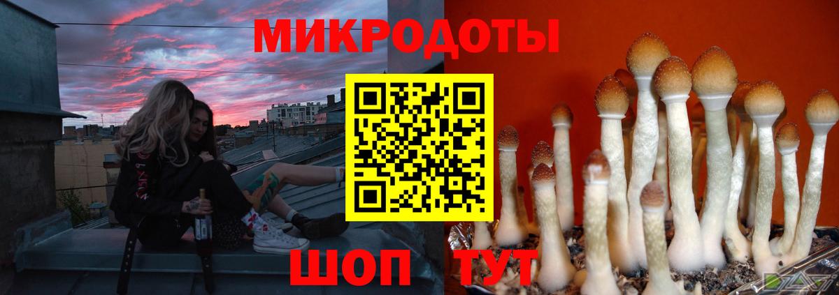 Альметьевск  Галлюциногенные грибы Psilocybine cubensis  Псилоцибиновые грибы мухоморы  Вход с VPN 